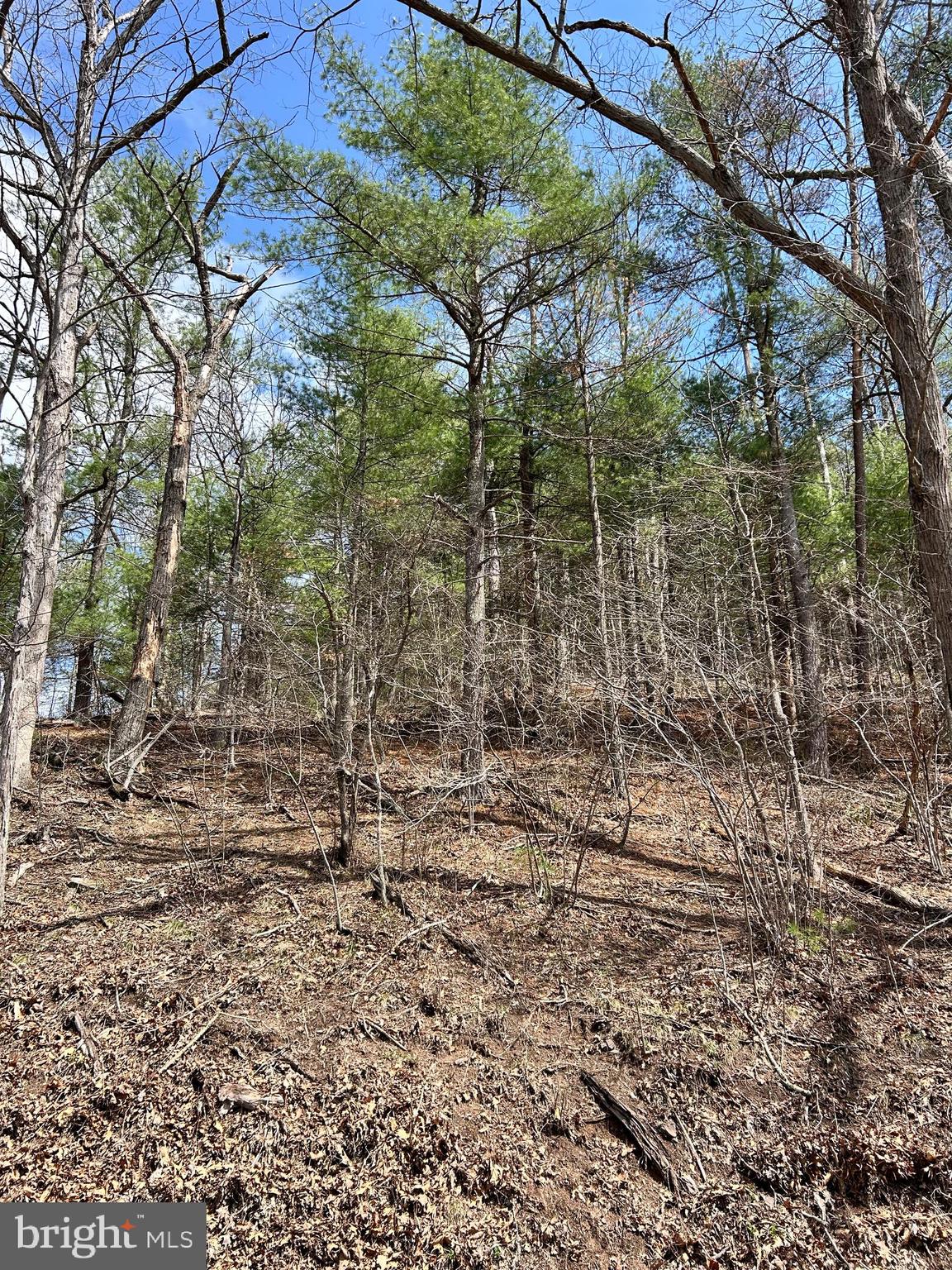 1150 Purcell Road Artemas, PA 17211 - Photo 3 of 19 a backyard of a house with lots of green space