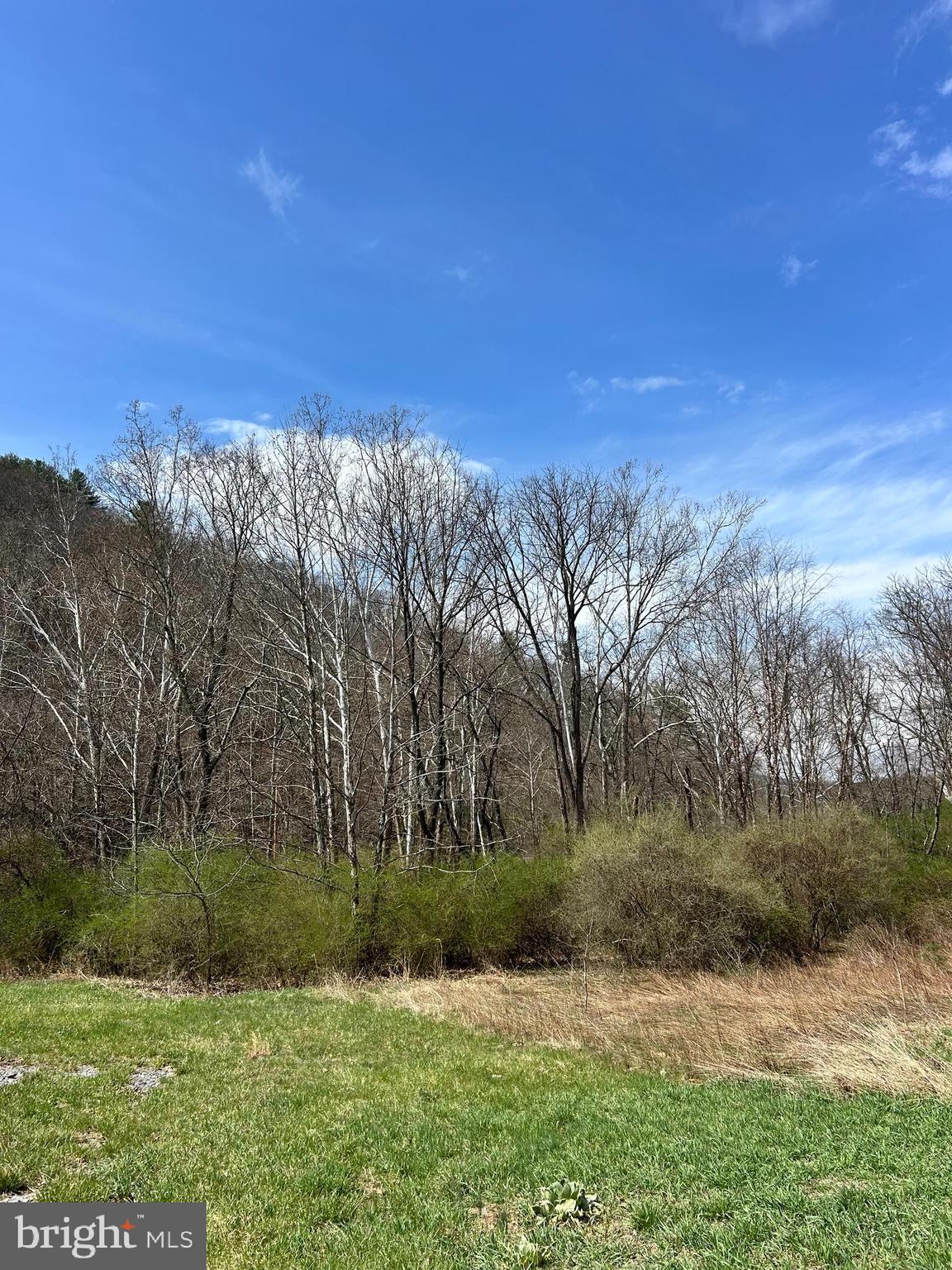 1150 Purcell Road Artemas, PA 17211 - Photo 6 of 19 a view of outdoor space and yard