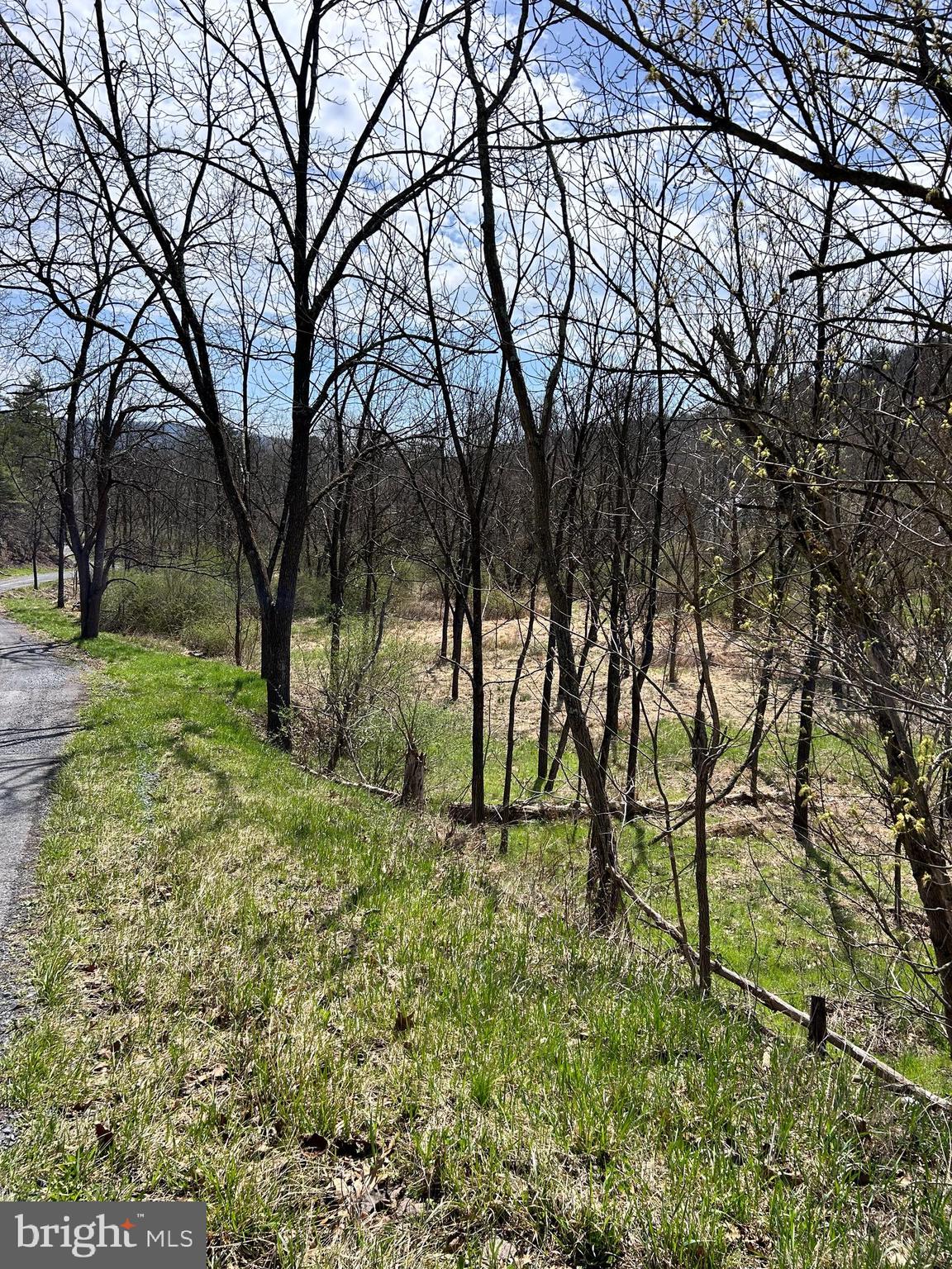 1150 Purcell Road Artemas, PA 17211 - Photo 7 of 19 a view of outdoor space with trees all around