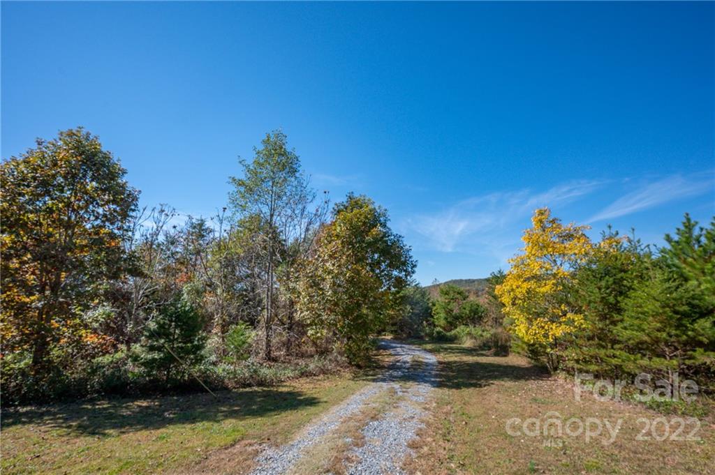 204 Richard Road Ellenboro, NC 28040 - Photo 5 of 22 Gallery Image 5