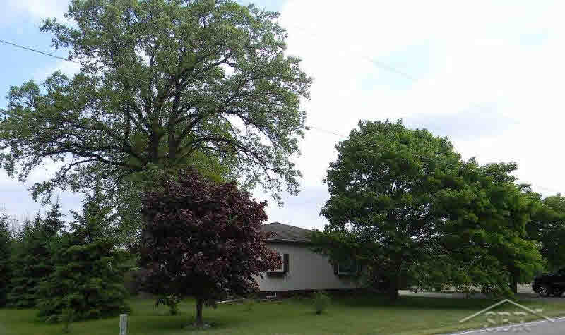 1333 East Prevo Road Linwood, MI 48634 - Photo 23 of 30