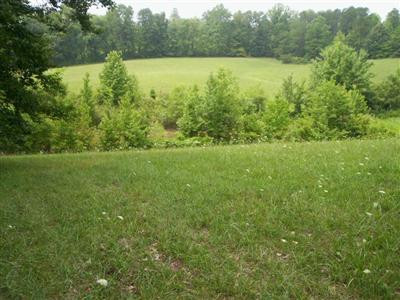 204 Dowis Chapel Road Corbin, KY 40701 - Photo 7 of 7 Pond