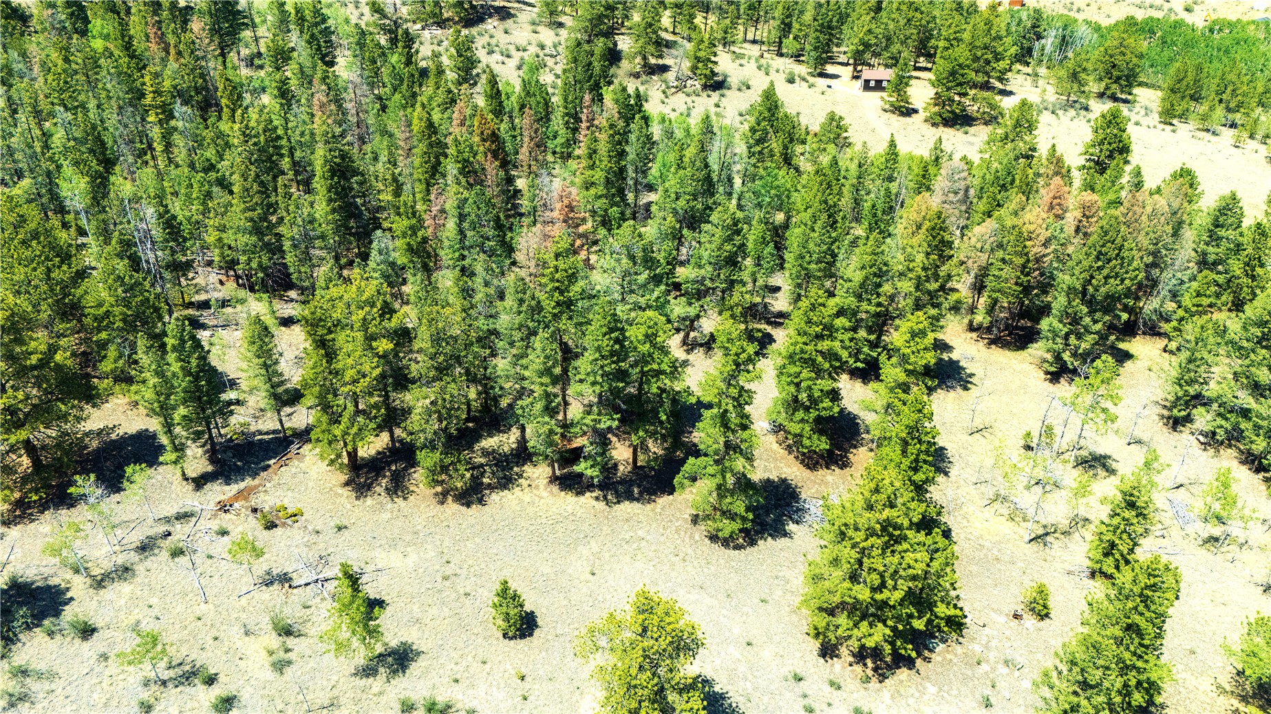 1036 Pulver Road Lake George, CO 80827 - Photo 11 of 27