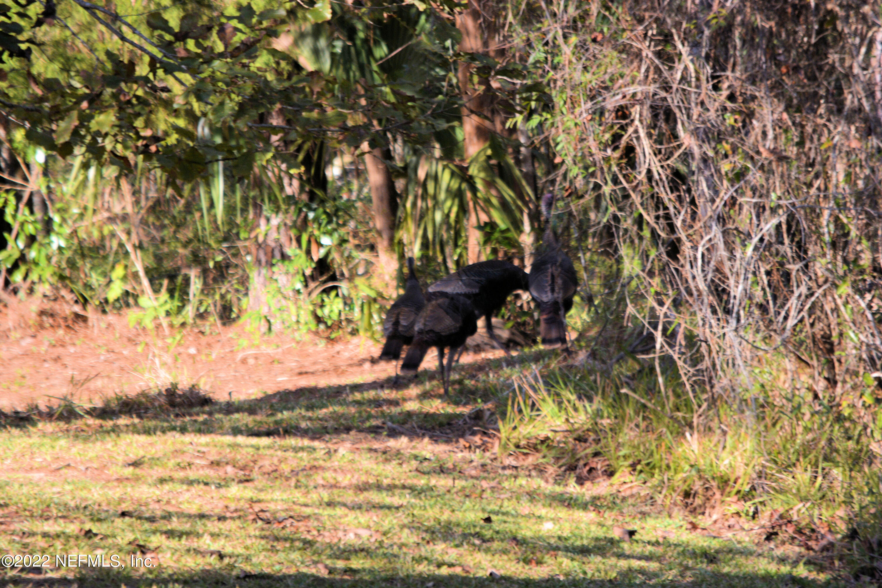35183 Karen Road Callahan, FL 32011 - Photo 37 of 56 JVT_3966