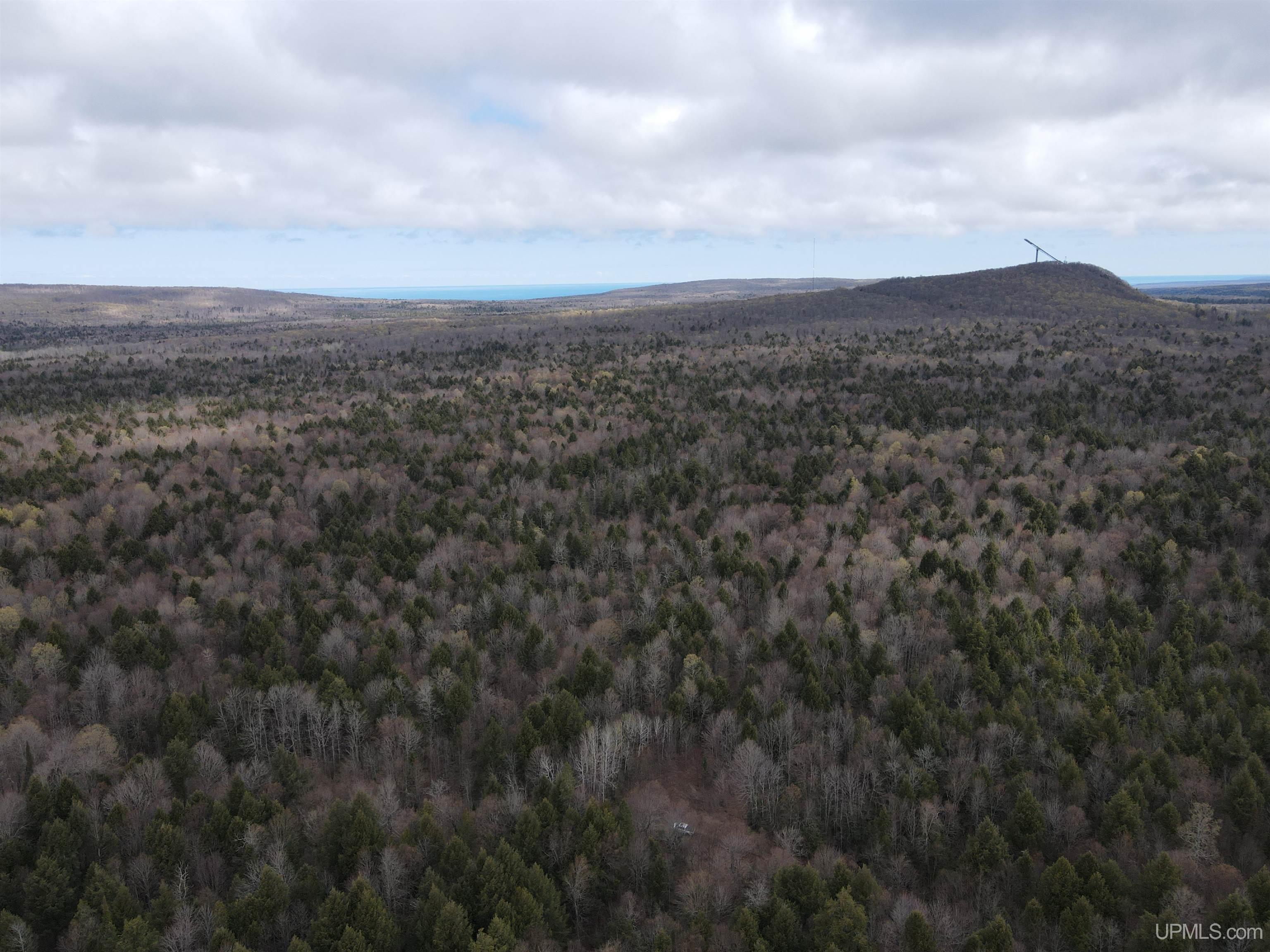 Off Black River Road Ironwood, MI 49938 - Photo 31 of 31