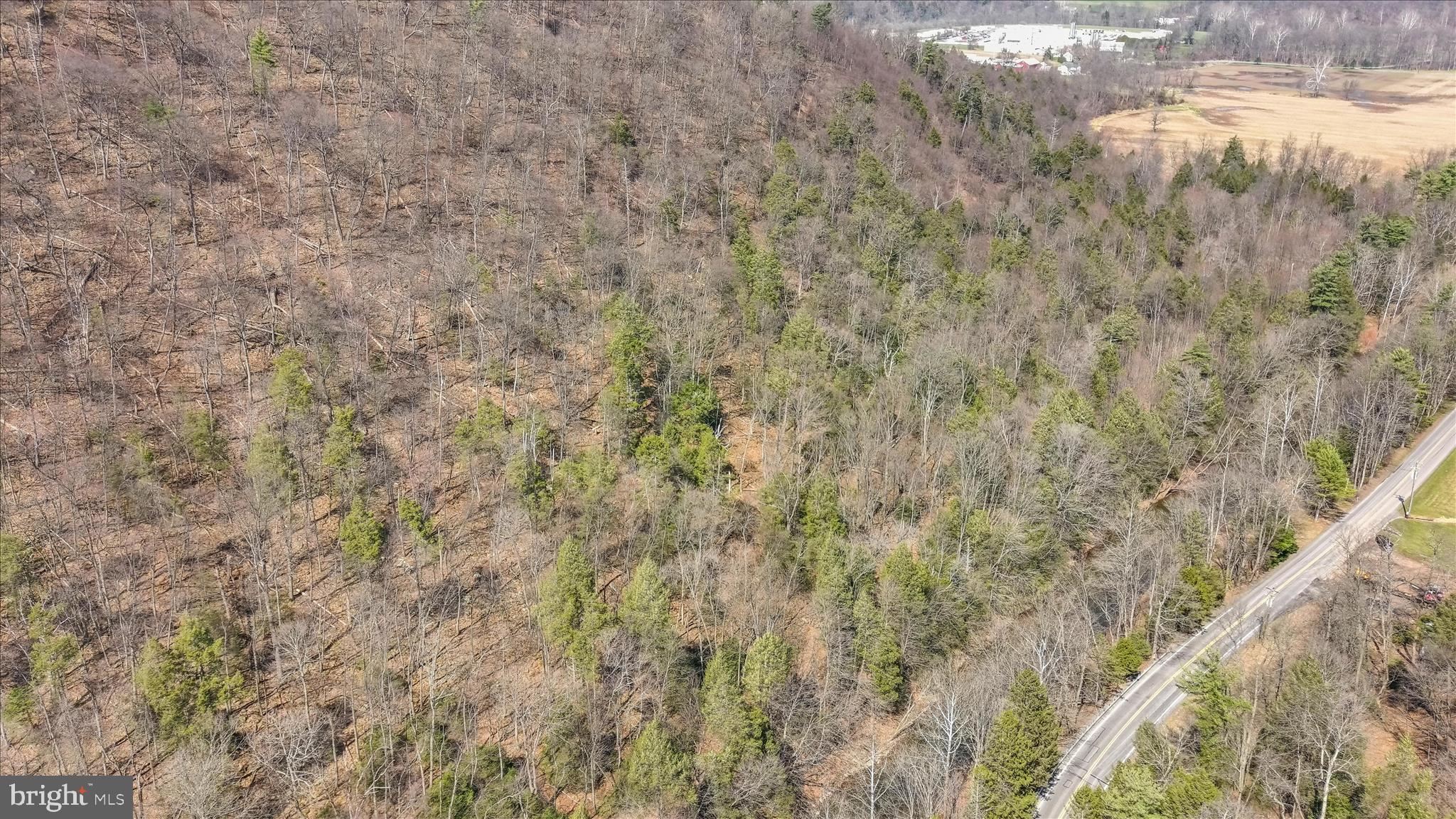 Lot 12 Luxemburg Road Lykens, PA 17048 - Photo 5 of 12