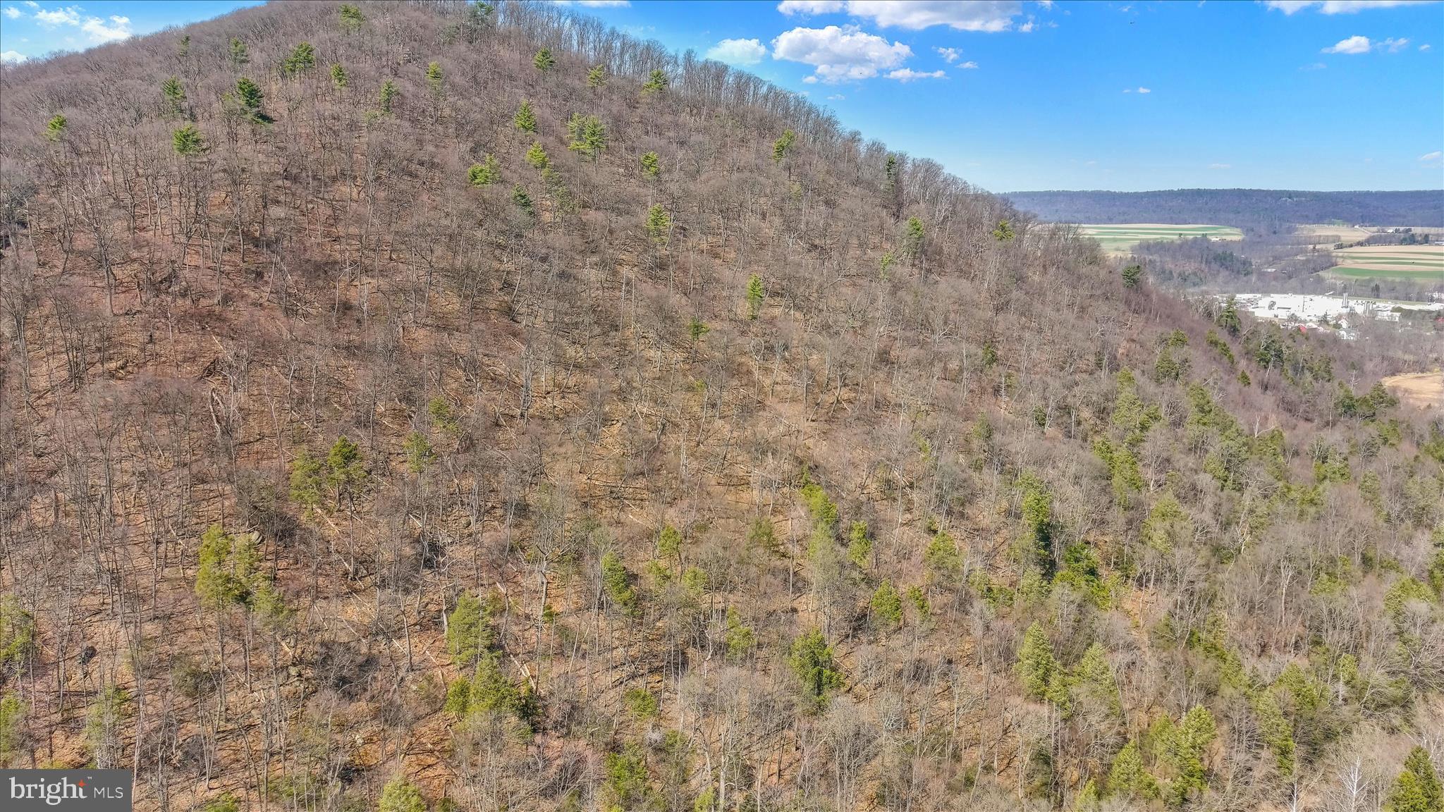 Lot 12 Luxemburg Road Lykens, PA 17048 - Photo 6 of 12