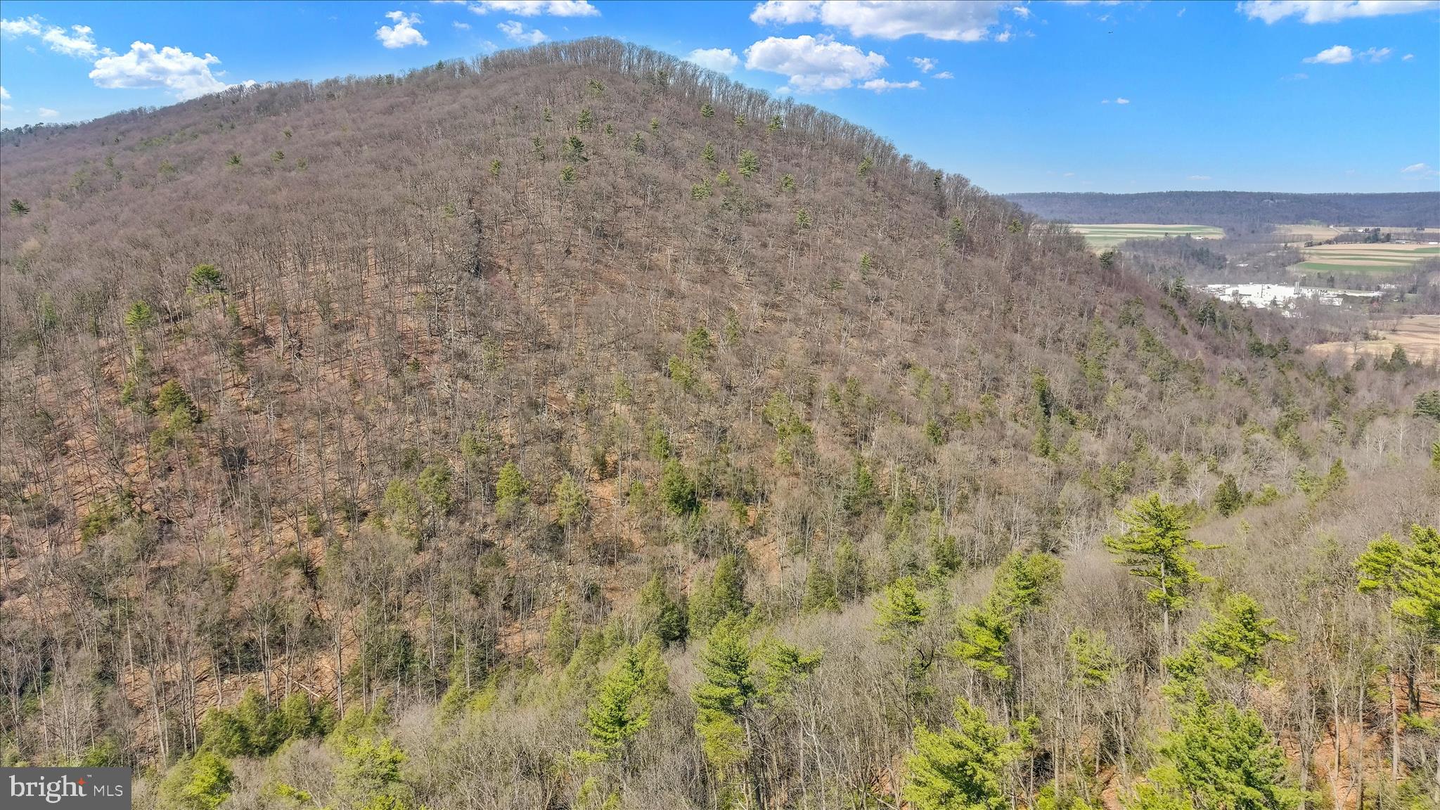 Lot 12 Luxemburg Road Lykens, PA 17048 - Photo 7 of 12