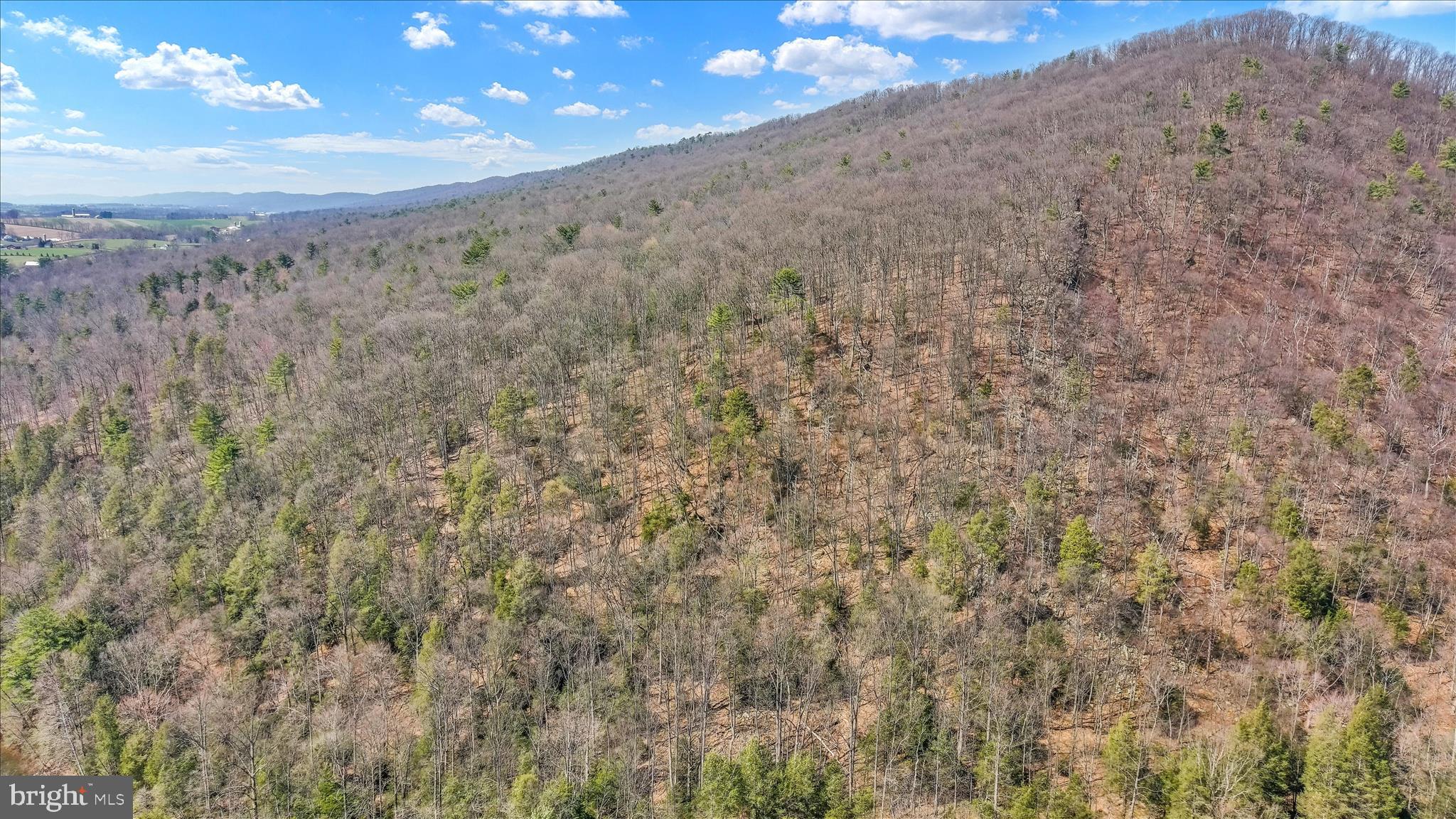 Lot 12 Luxemburg Road Lykens, PA 17048 - Photo 8 of 12