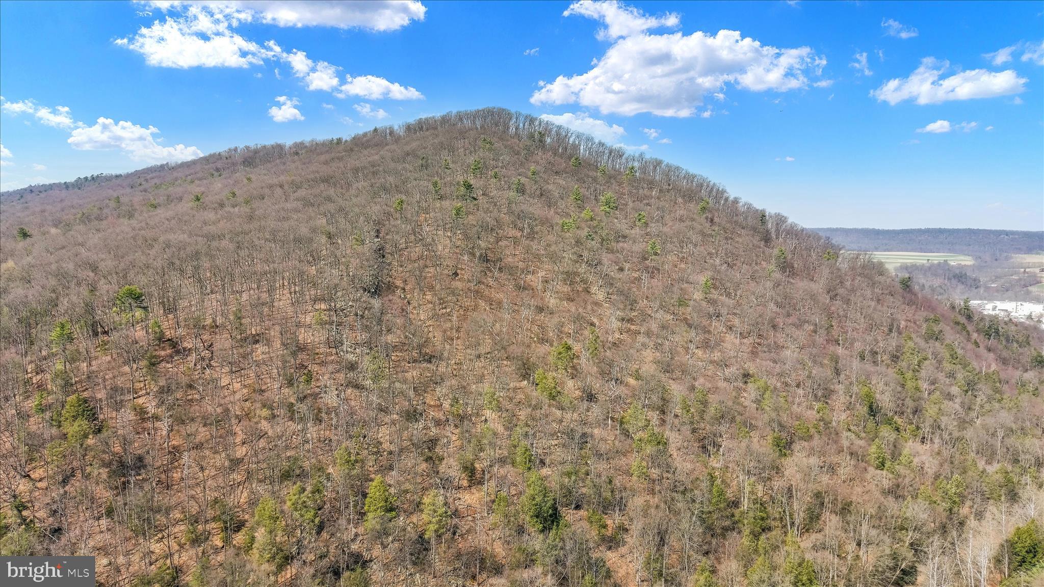 Lot 12 Luxemburg Road Lykens, PA 17048 - Photo 10 of 12