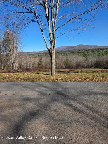 a view of a yard with an trees
