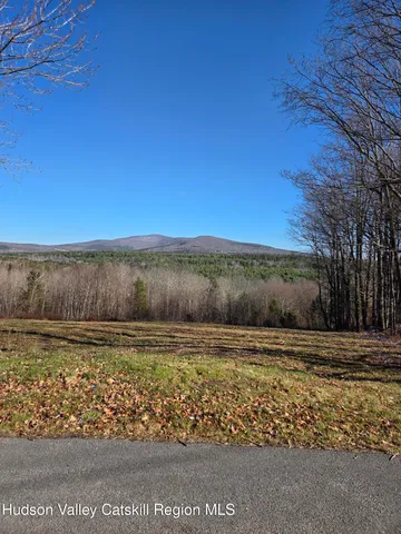 a view of a lake with a yard