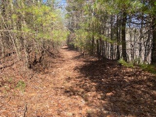 Tbd Lincoln Road, Unit 3 Galax, VA 24333 - Photo 36 of 64 Gallery Image 36