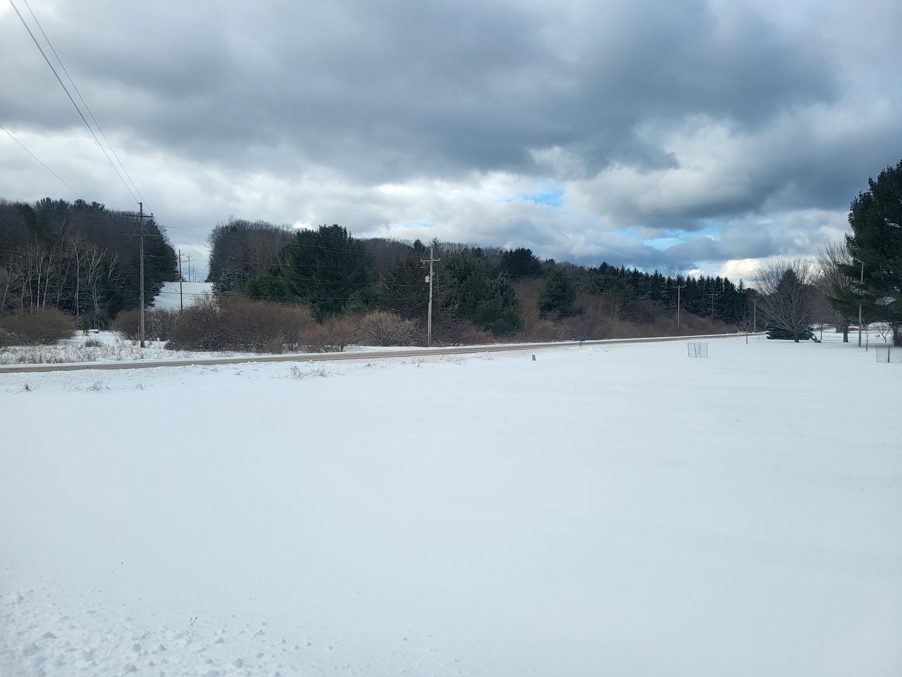 0 Bradford Road Manistee, MI 49660 - Photo 6 of 9 20250116_124634