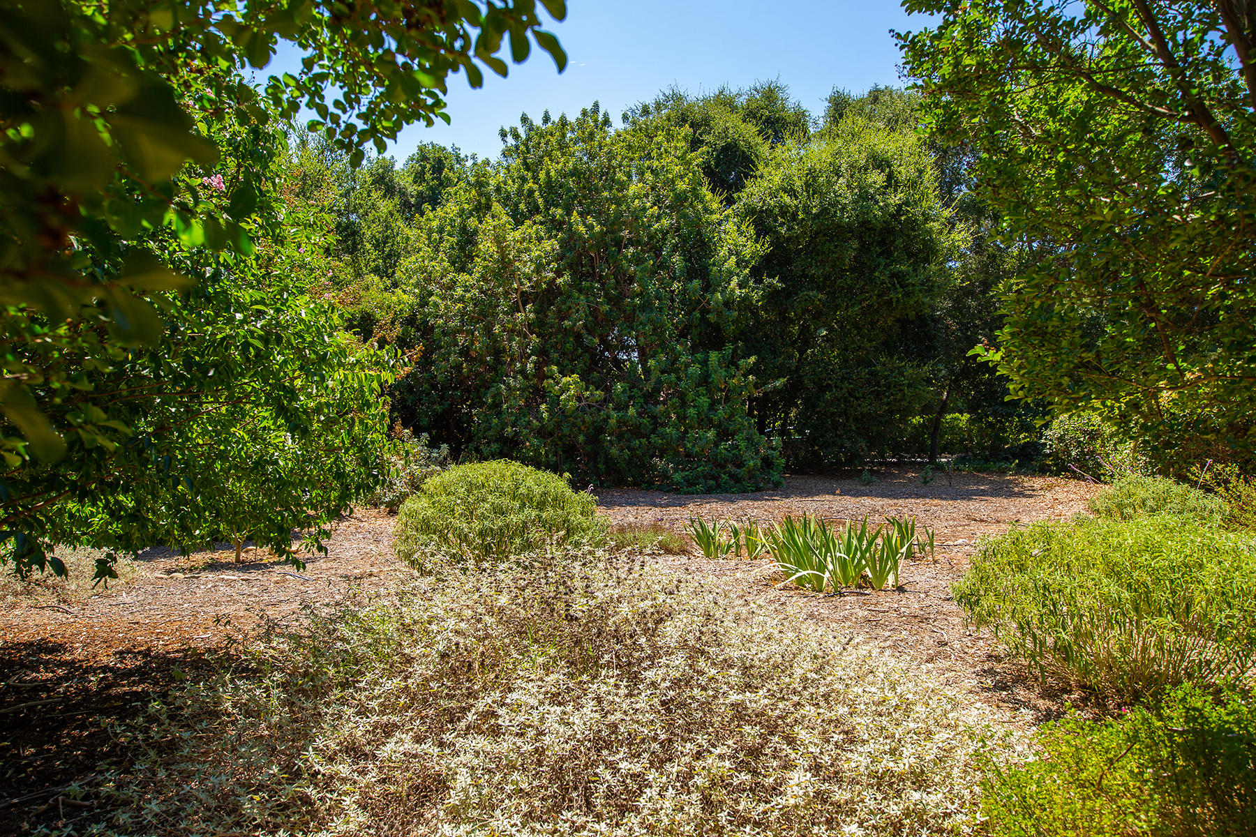 118 Cuyama Road Ojai, CA 93023 - Photo 13 of 49 S8C_118 Cuyama_12