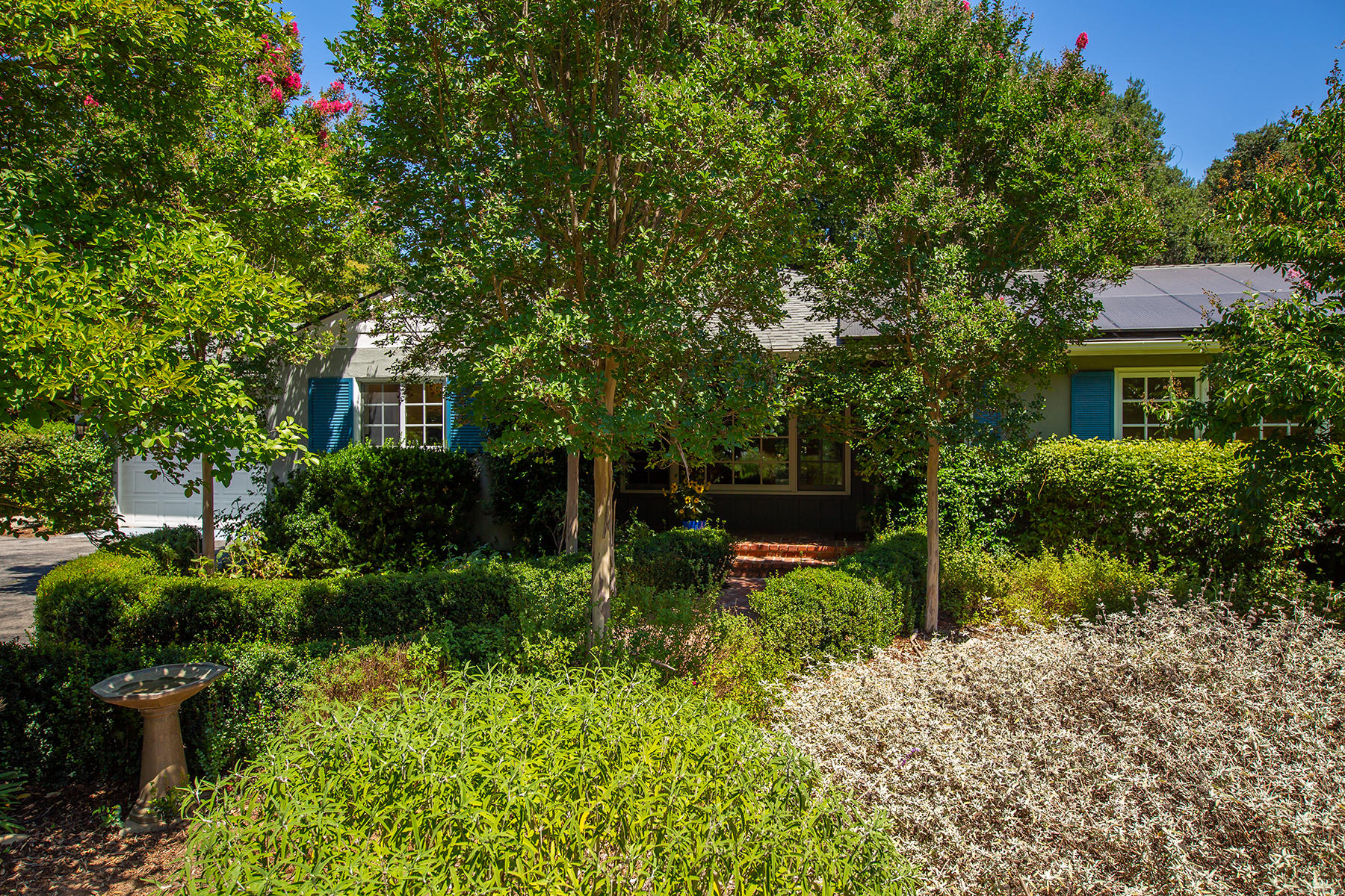 118 Cuyama Road Ojai, CA 93023 - Photo 8 of 49 Crepe Myrtle Trees