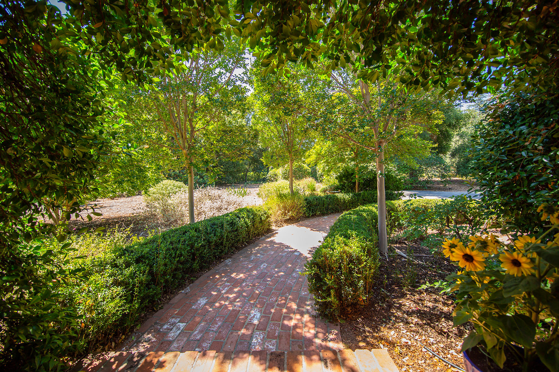 118 Cuyama Road Ojai, CA 93023 - Photo 10 of 49 Front Walk from Entry to Drive