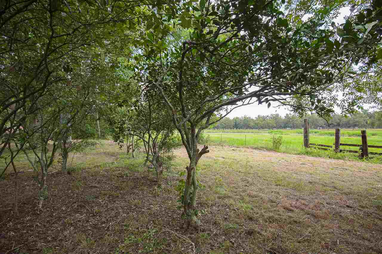 502 Rabon Road Monticello, FL 32344 - Photo 7 of 36 Gallery Image 7