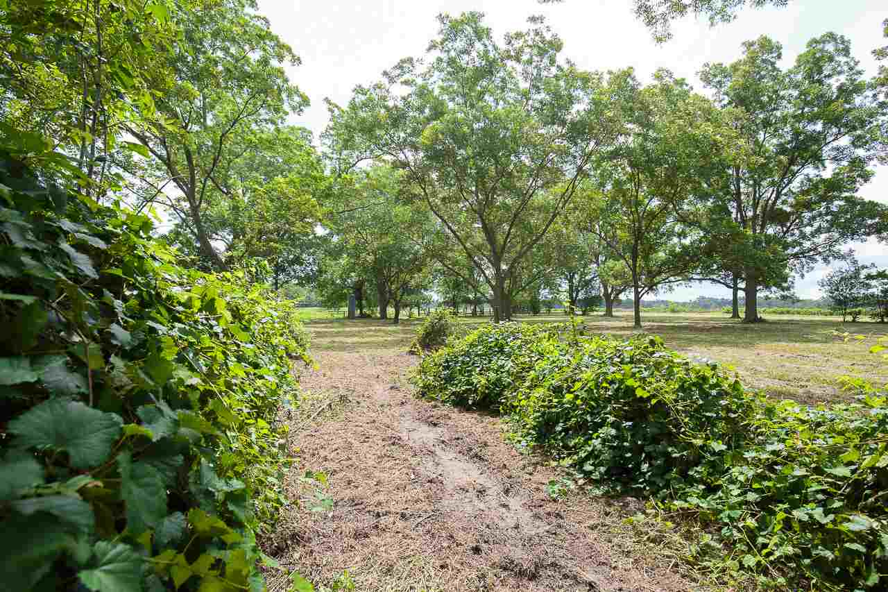 502 Rabon Road Monticello, FL 32344 - Photo 8 of 36 Gallery Image 8