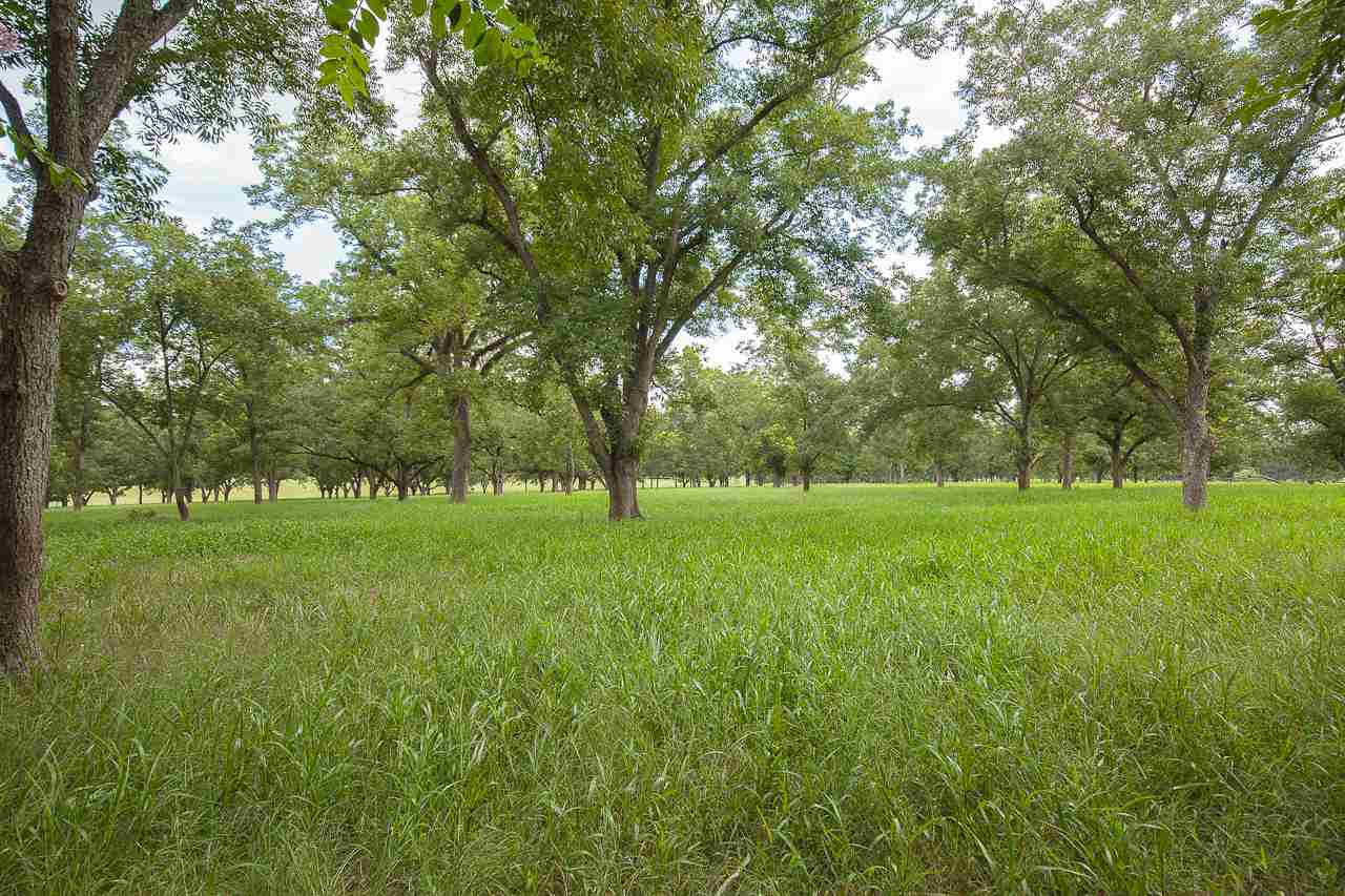 502 Rabon Road Monticello, FL 32344 - Photo 9 of 36 Gallery Image 9