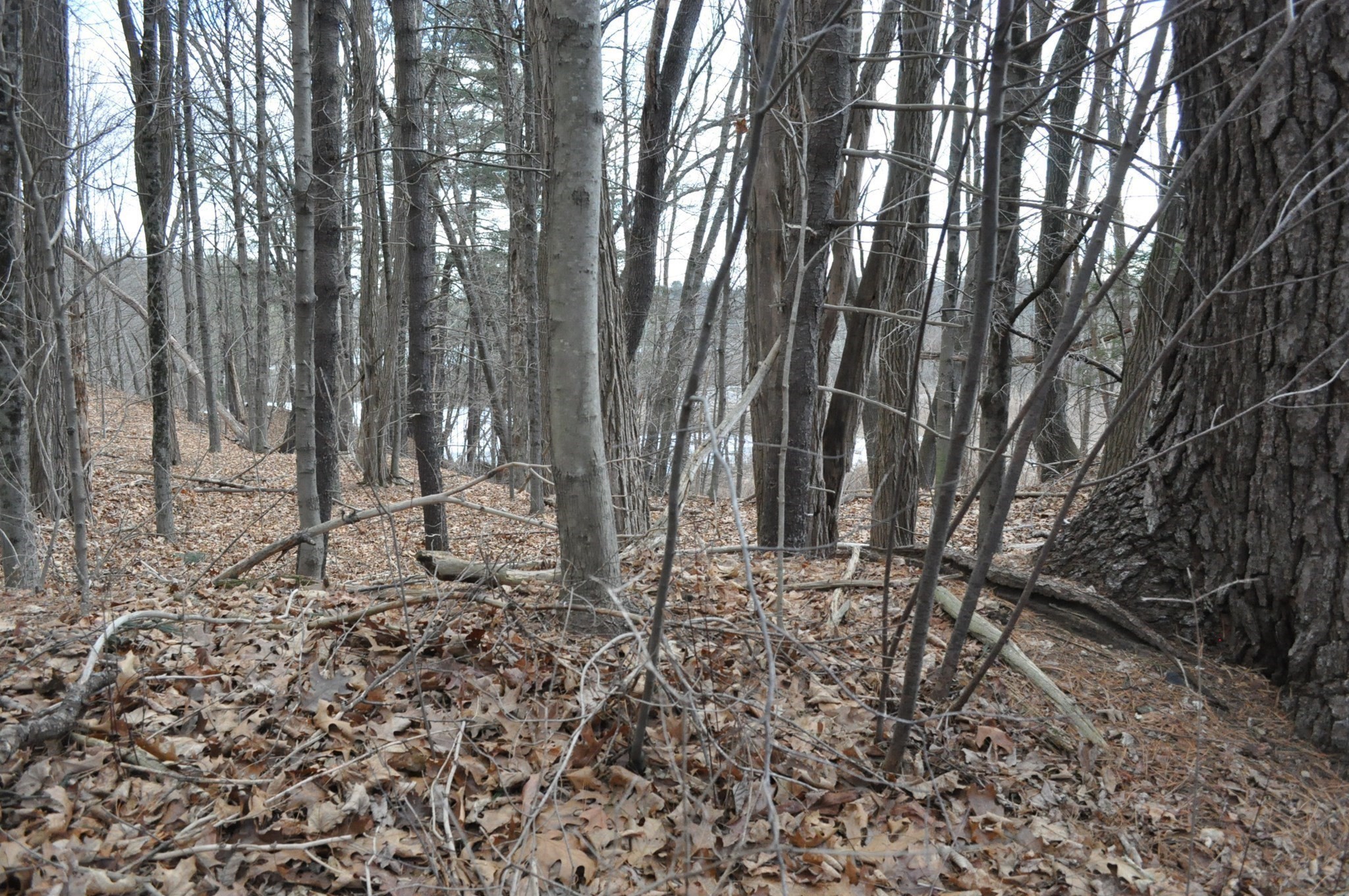 1010 Ryan Road Northampton, MA 01062 - Photo 33 of 42 Gallery Image 33