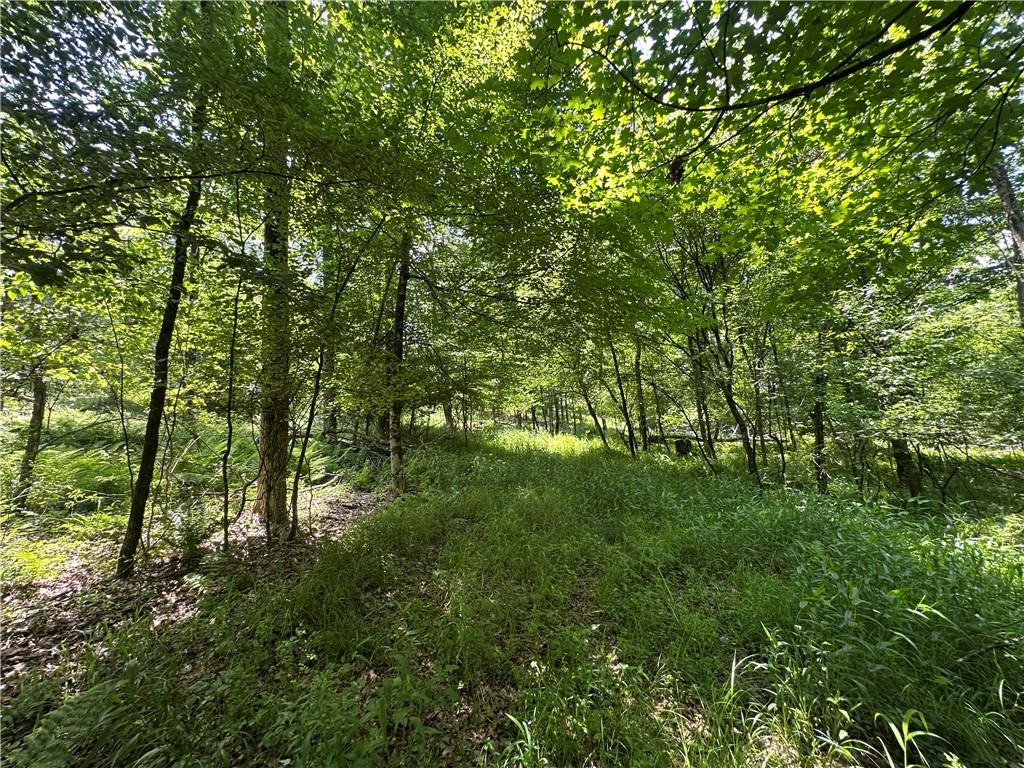 0 Cooperstown Road Cooperstown, PA 16317 - Photo 18 of 23