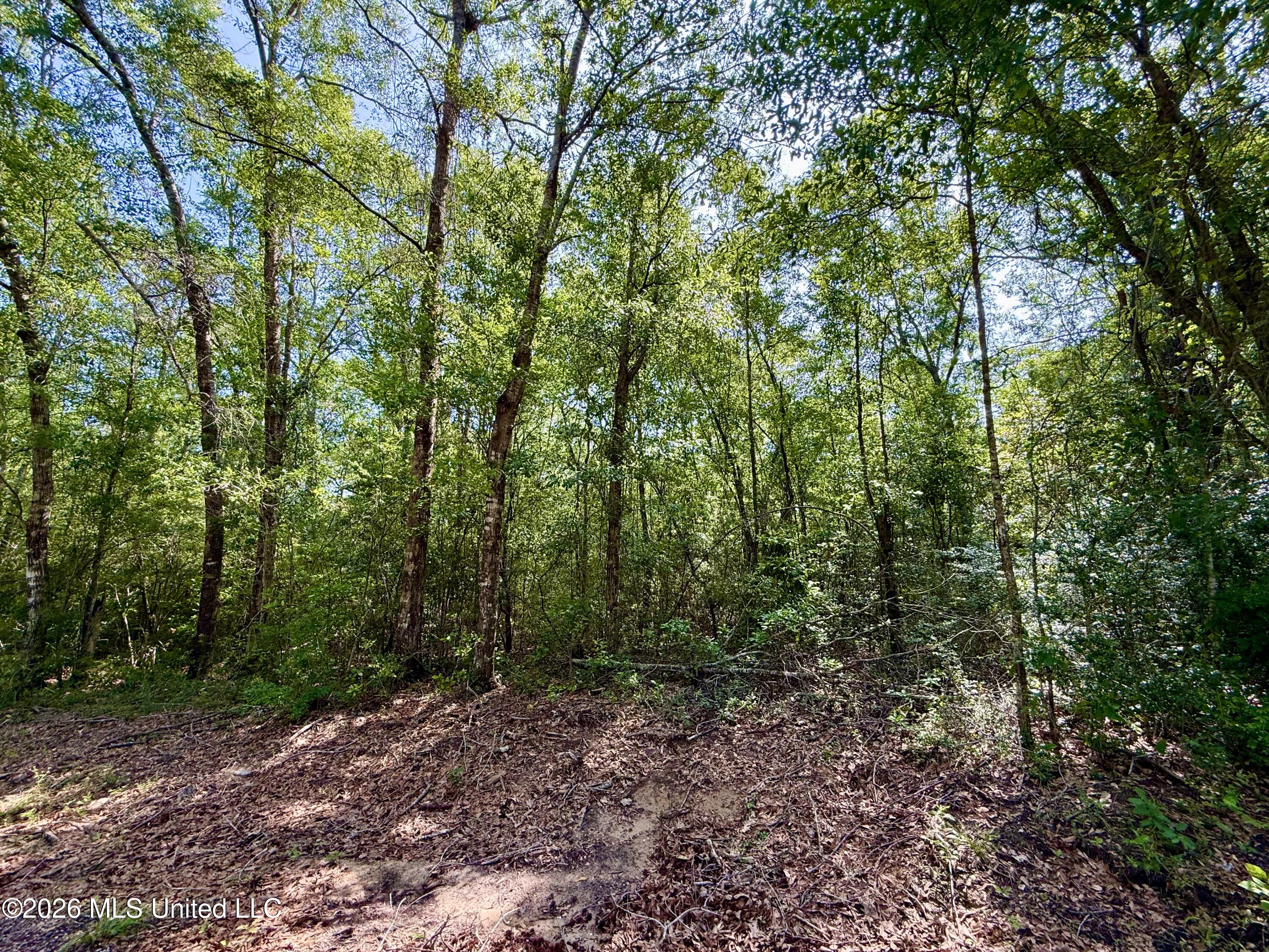 0 Henry House Road Saucier, MS 39574 - Photo 7 of 13 6_HenryHouse