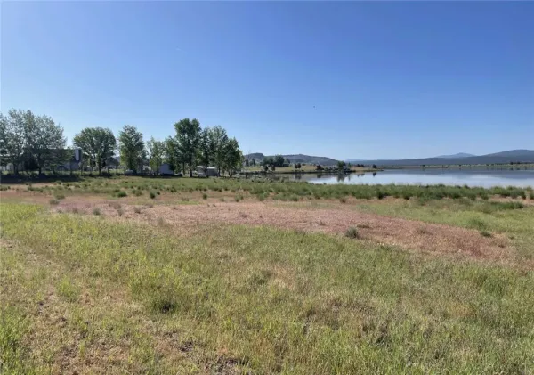 a view of a field with trees in background