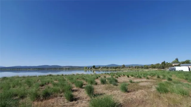 a view of a field with trees in background
