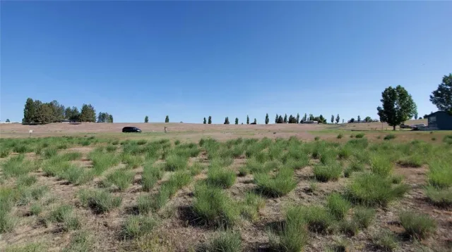 a view of a lake with houses in the back