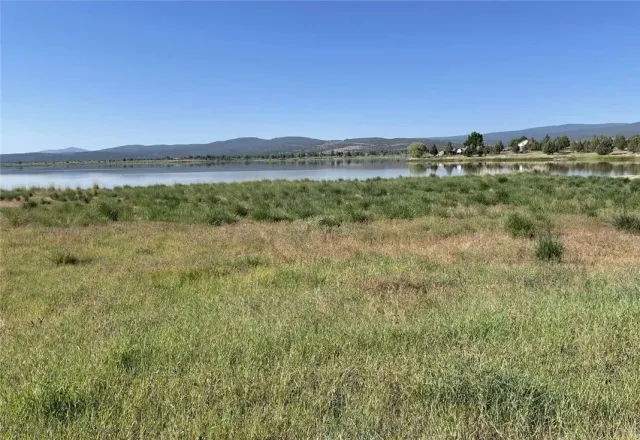 a view of a big yard with a large tree and the ocean view