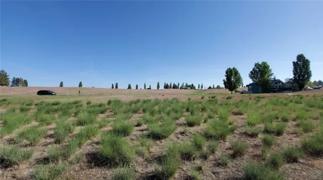 a view of a lake view