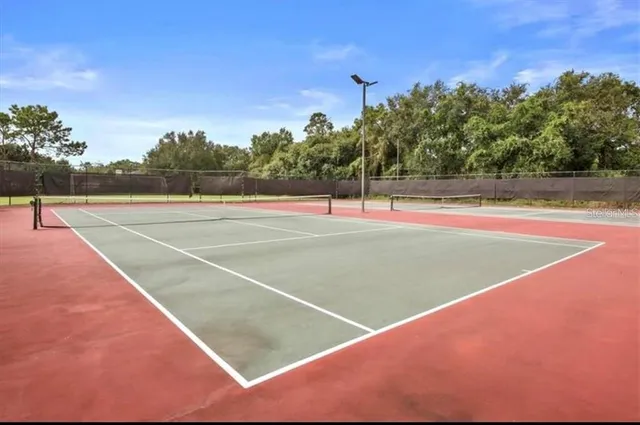 a view of large trees and a big