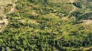 $140,000 | 4802-4520 Blake Creek Road, St. Maries, ID 83861