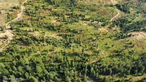 4802-4520 Blake Creek Road St. Maries, ID 83861 - Photo 2 of 5 5