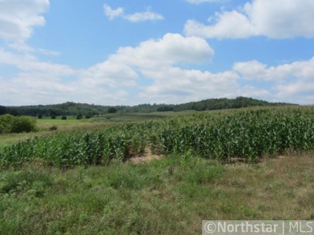 0 South Water Tower Road Fall Creek, WI 54742 - Photo 1 of 1 Gallery Image 1
