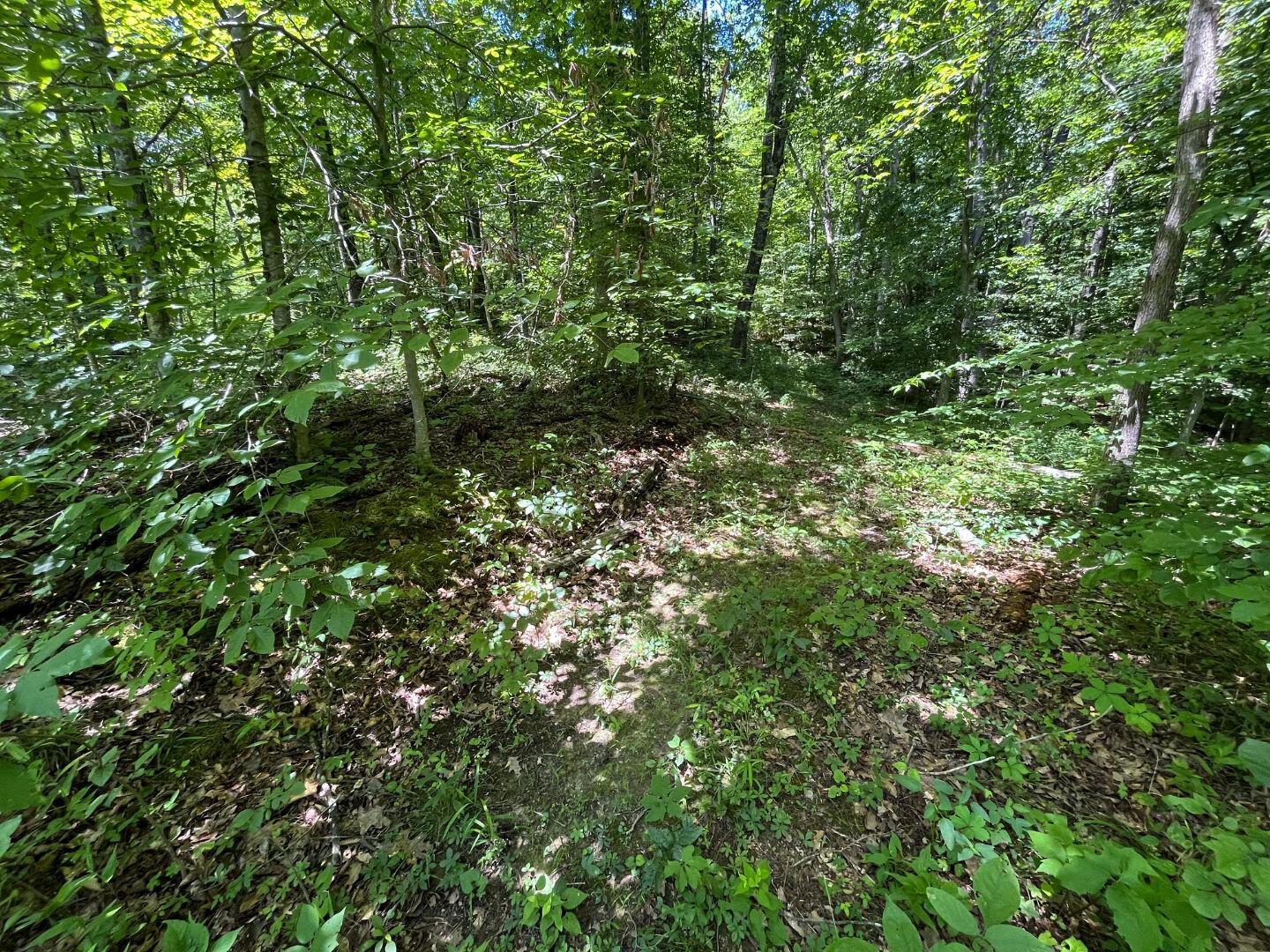 0 Water Works Hill Road Glouster, OH 45732 - Photo 11 of 35 10