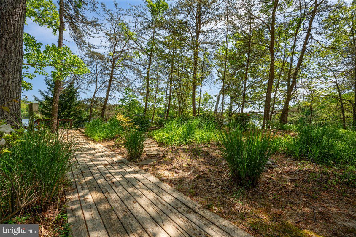 8438 Mackall Road St. Leonard, MD 20685 - Photo 4 of 68 To the pier!