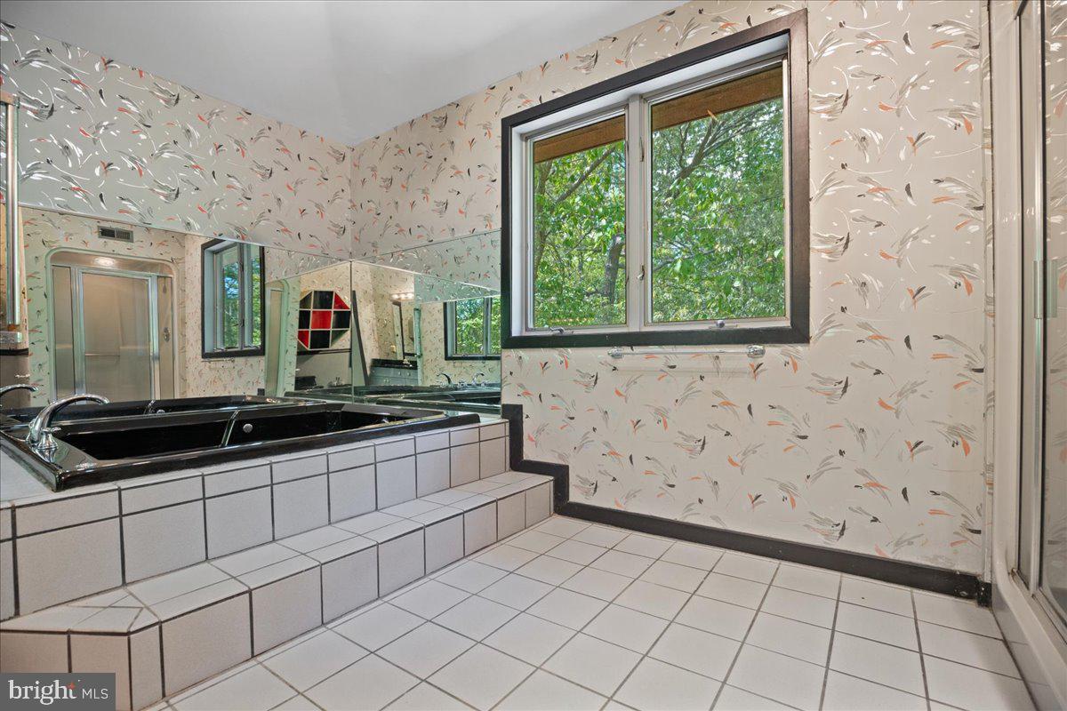 8438 Mackall Road St. Leonard, MD 20685 - Photo 46 of 68 Jetted tub.