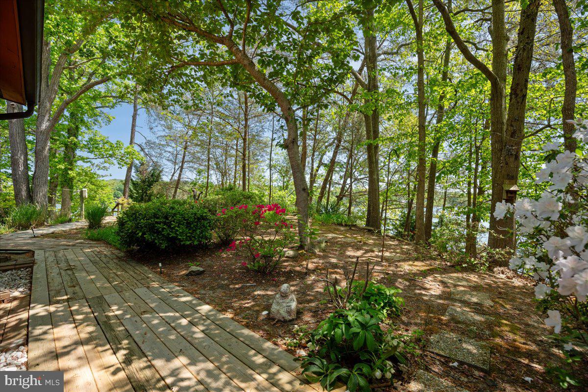 8438 Mackall Road St. Leonard, MD 20685 - Photo 65 of 68 Gorgeous gardens on the point.