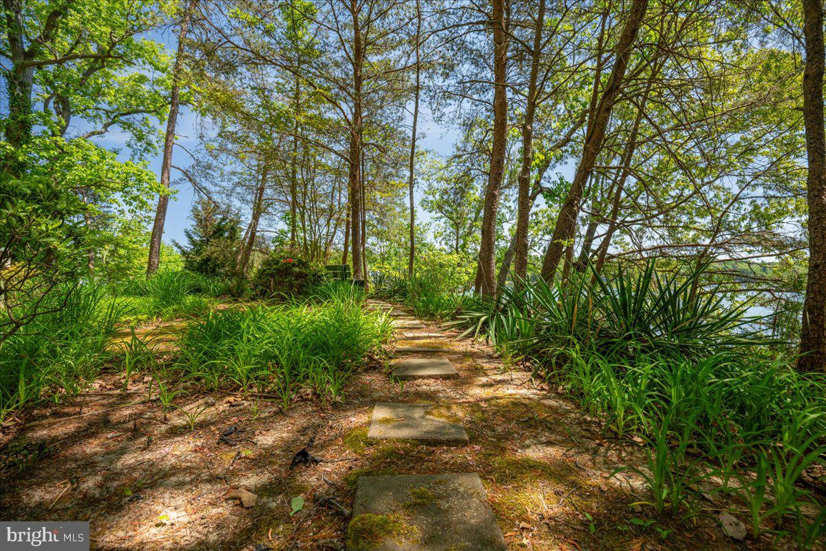 8438 Mackall Road St. Leonard, MD 20685 - Photo 67 of 68 Beautiful garden paths all around