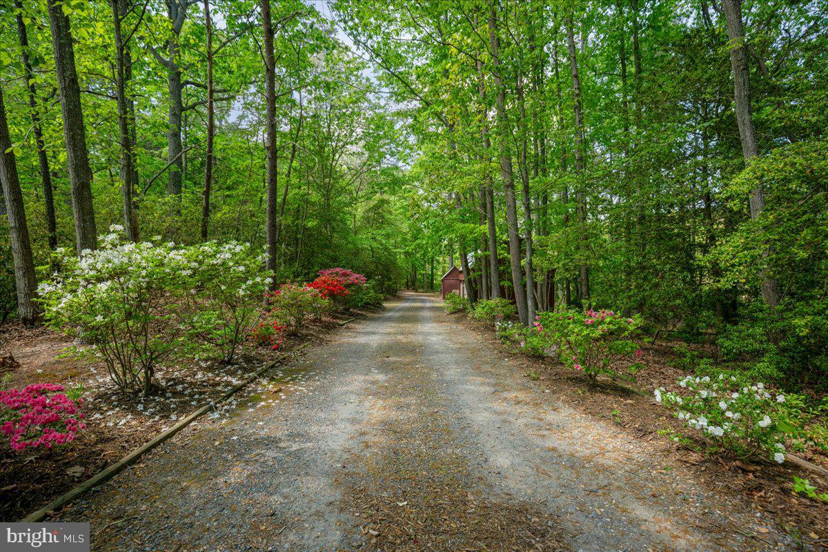 8438 Mackall Road St. Leonard, MD 20685 - Photo 68 of 68 See you next time!