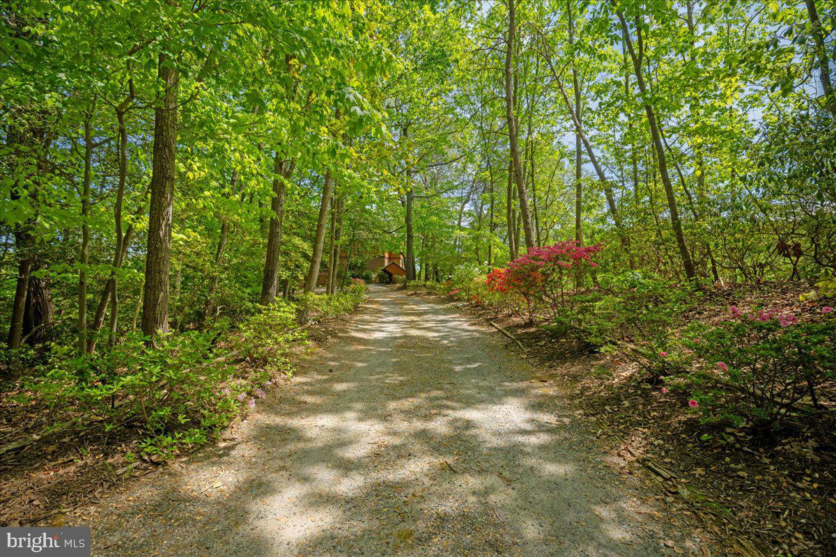 8438 Mackall Road St. Leonard, MD 20685 - Photo 8 of 68 Rustic setting, established beauty.