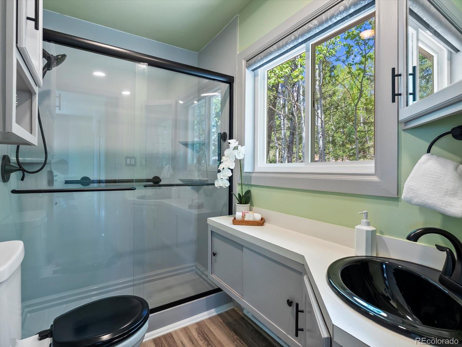 11650 Baca Road Conifer, CO 80433 - Photo 16 of 30 Gallery Image 16