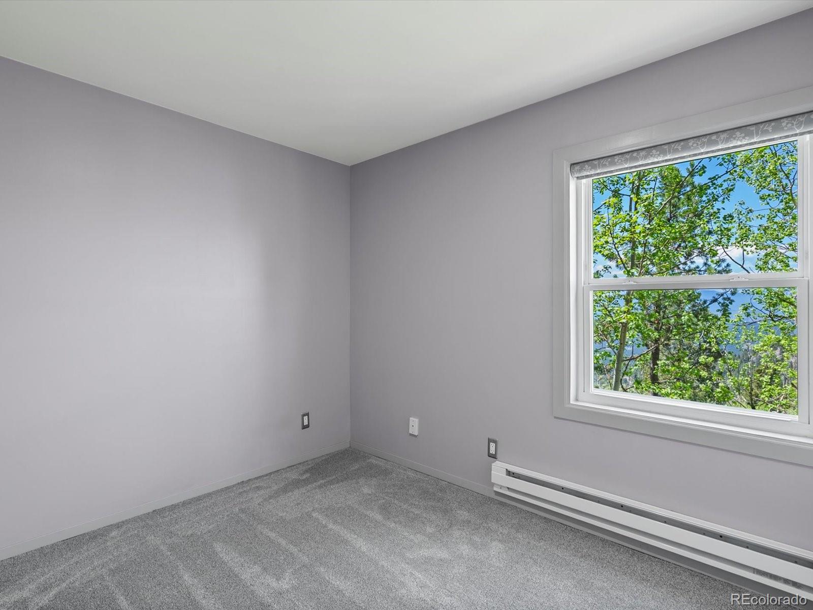 11650 Baca Road Conifer, CO 80433 - Photo 17 of 30 Gallery Image 17