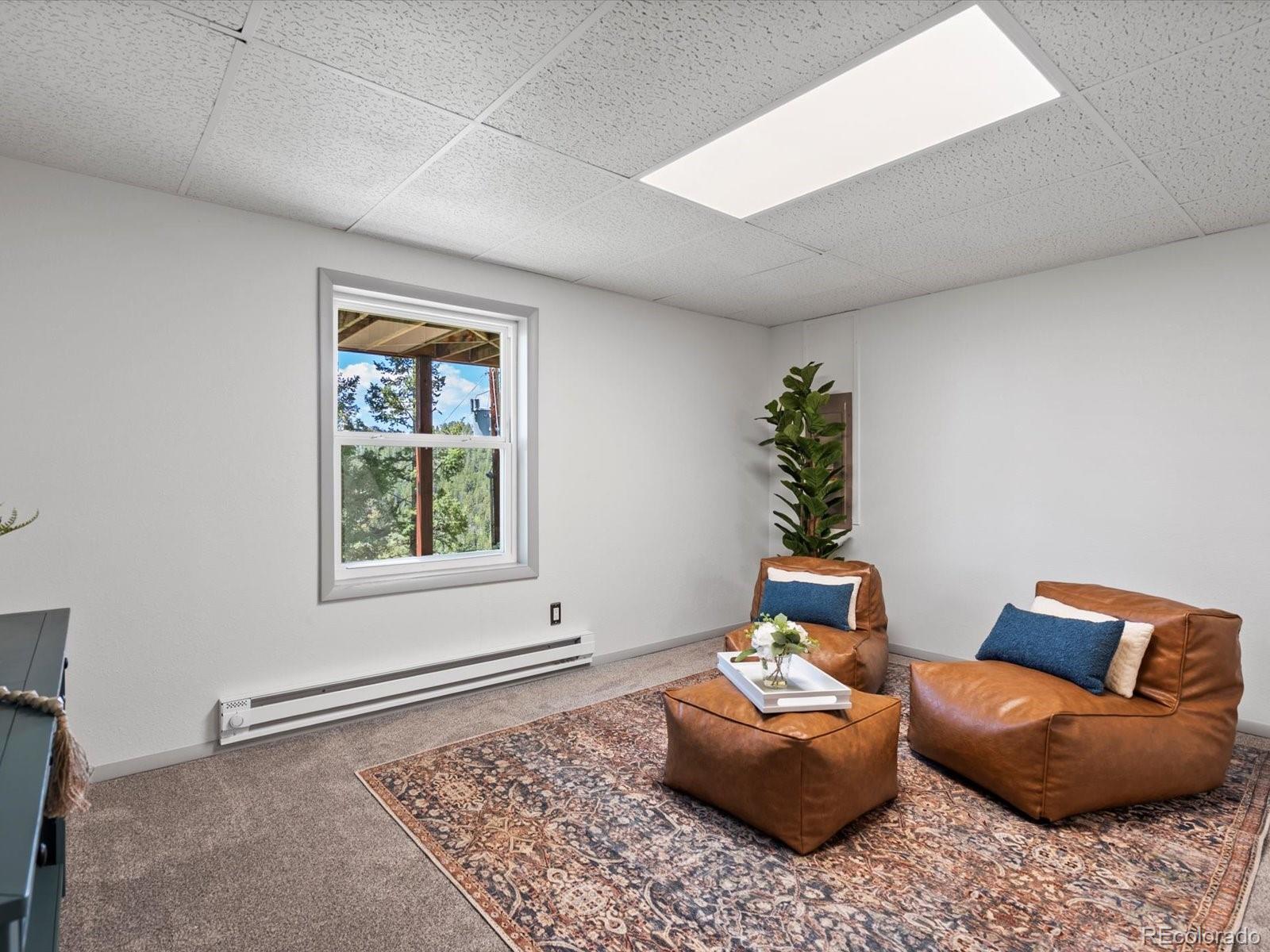 11650 Baca Road Conifer, CO 80433 - Photo 23 of 30 Gallery Image 23