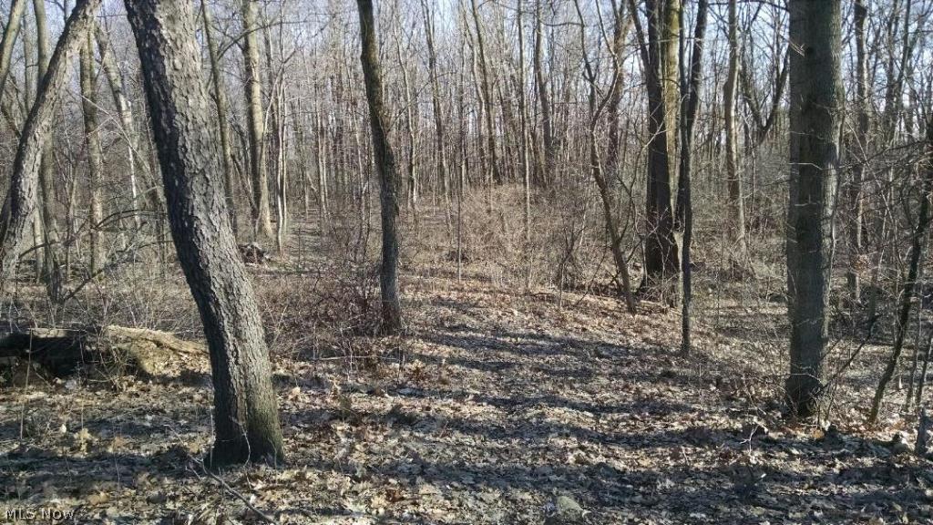 3022 Shade Road Akron, OH 44333 - Photo 23 of 24