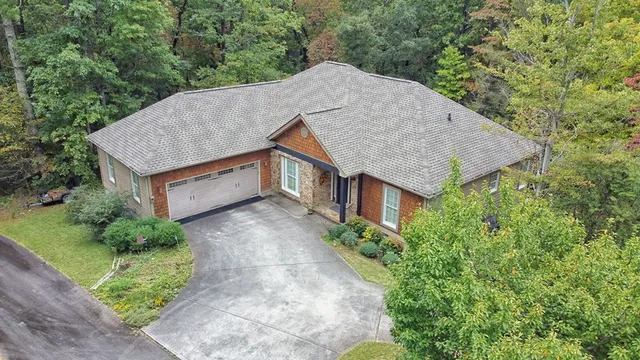 an aerial view of a house with a yard plants and large tree