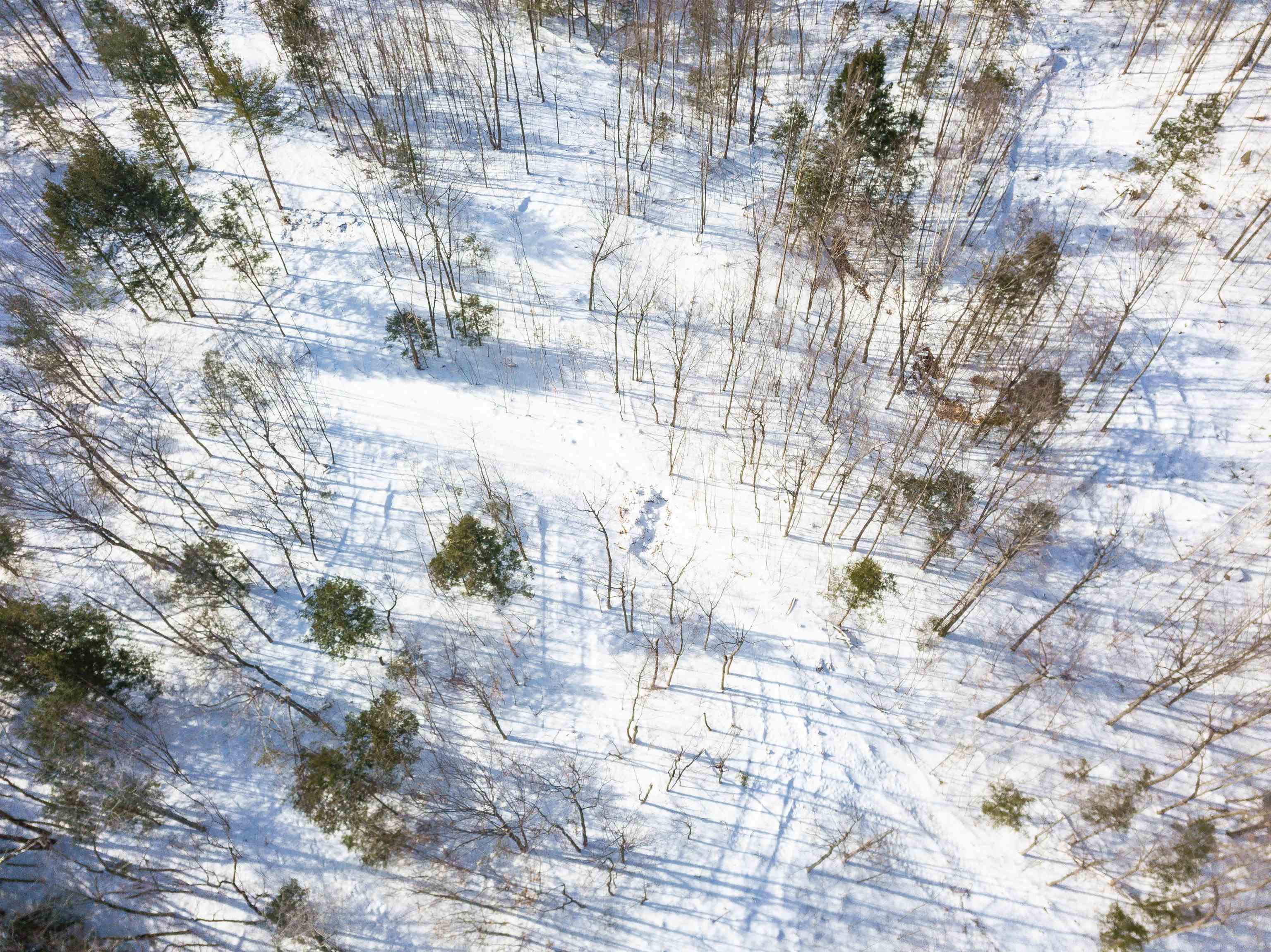 Artist Falls Road, Unit 243 2 North Conway, NH 03860 - Photo 5 of 15