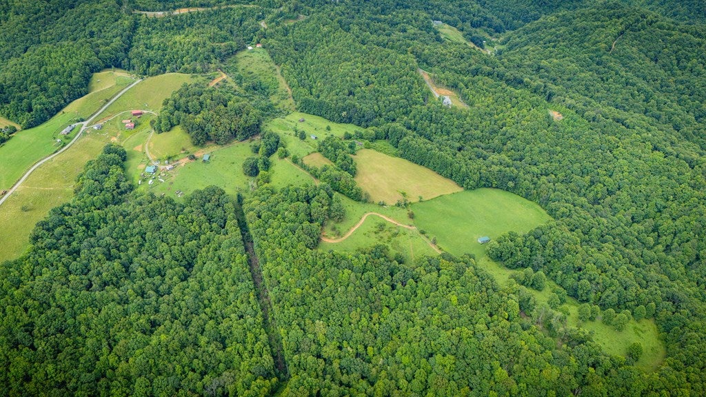 Tbd Cooks Mountain Road Honaker, VA 24260 - Photo 15 of 19 Gallery Image 15